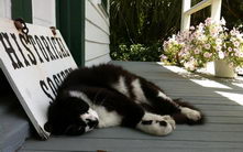 Boudreaux guarding the premises